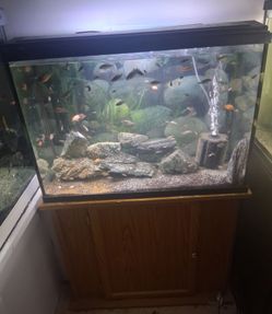 30 gallon tank