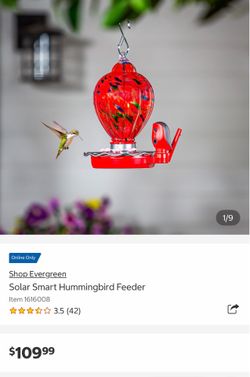 BRAND NEW STILL IN BOX Solar Hummingbird Feeder