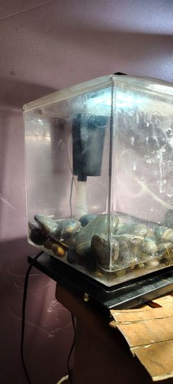 1.5G cube tetra AIO tank