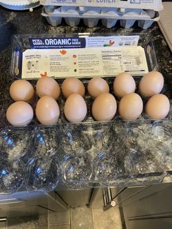 Fresh Organic Eggs