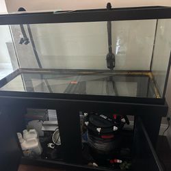 Fish Tank 100 gallons and Fluval FX6 filter