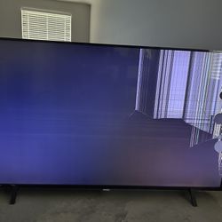 TV 65 Inch (Cracked Screen)