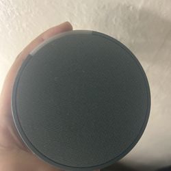Echo Pop