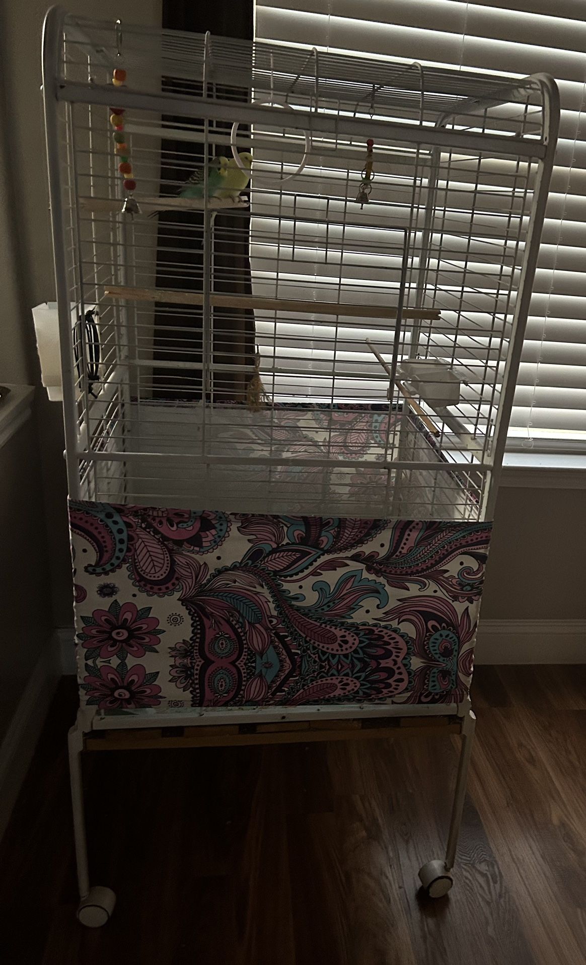 Large Birds Cage