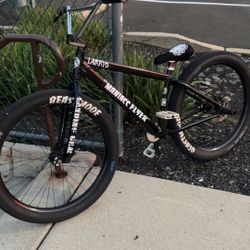 CUSTOM BEASTMODE