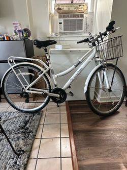 Schwinn bike 28in