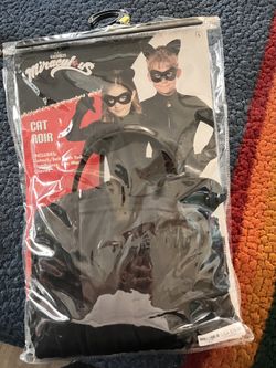 Cat Noir Costume