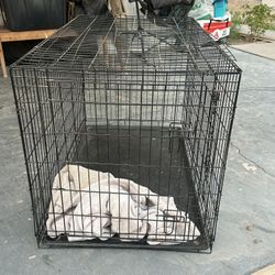 Dog Kennel 