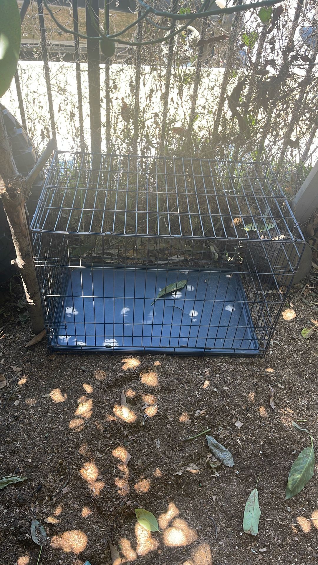 Dog Crate