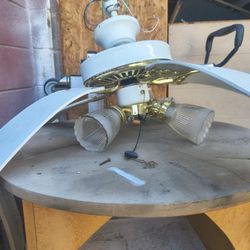 Ceiling Fan 