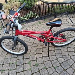 Schwinn TILT 
