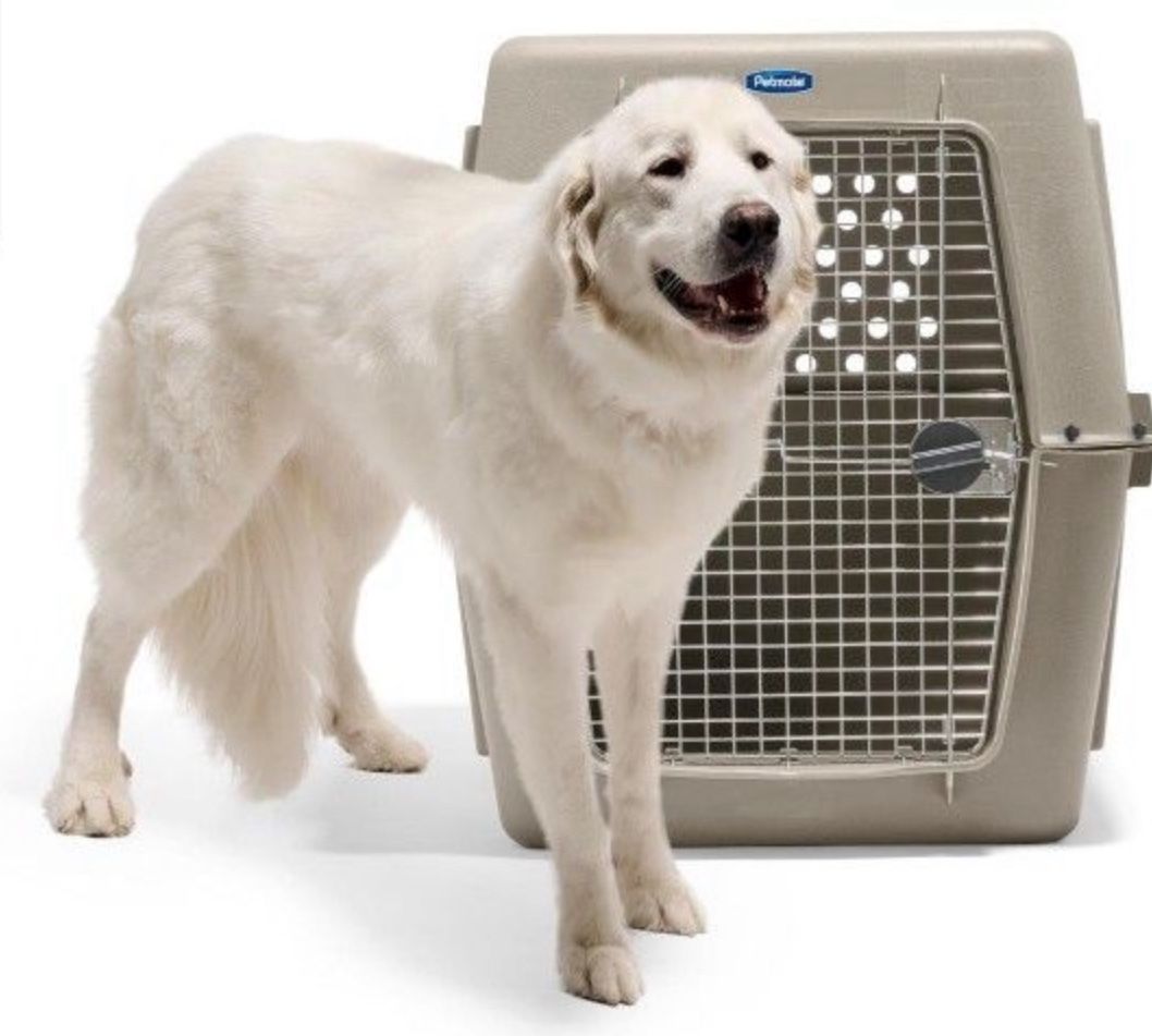 Dog Kennel