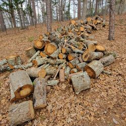 Large Pile Of Pine And Oak Firewood 