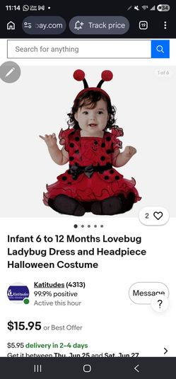 Halloween lady bug dress