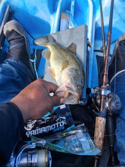 Lost Creek Fishing Kayak
