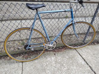 Extra large size Raleigh technium single speed road bike w flatbar