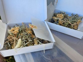 Dried flowers
