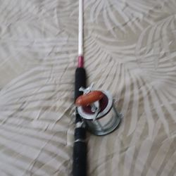 Reel and Rod  Fishing