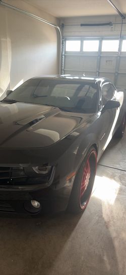 Camero