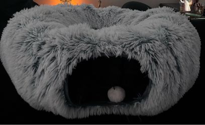 Cat Tunnel
