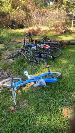 5 bikes