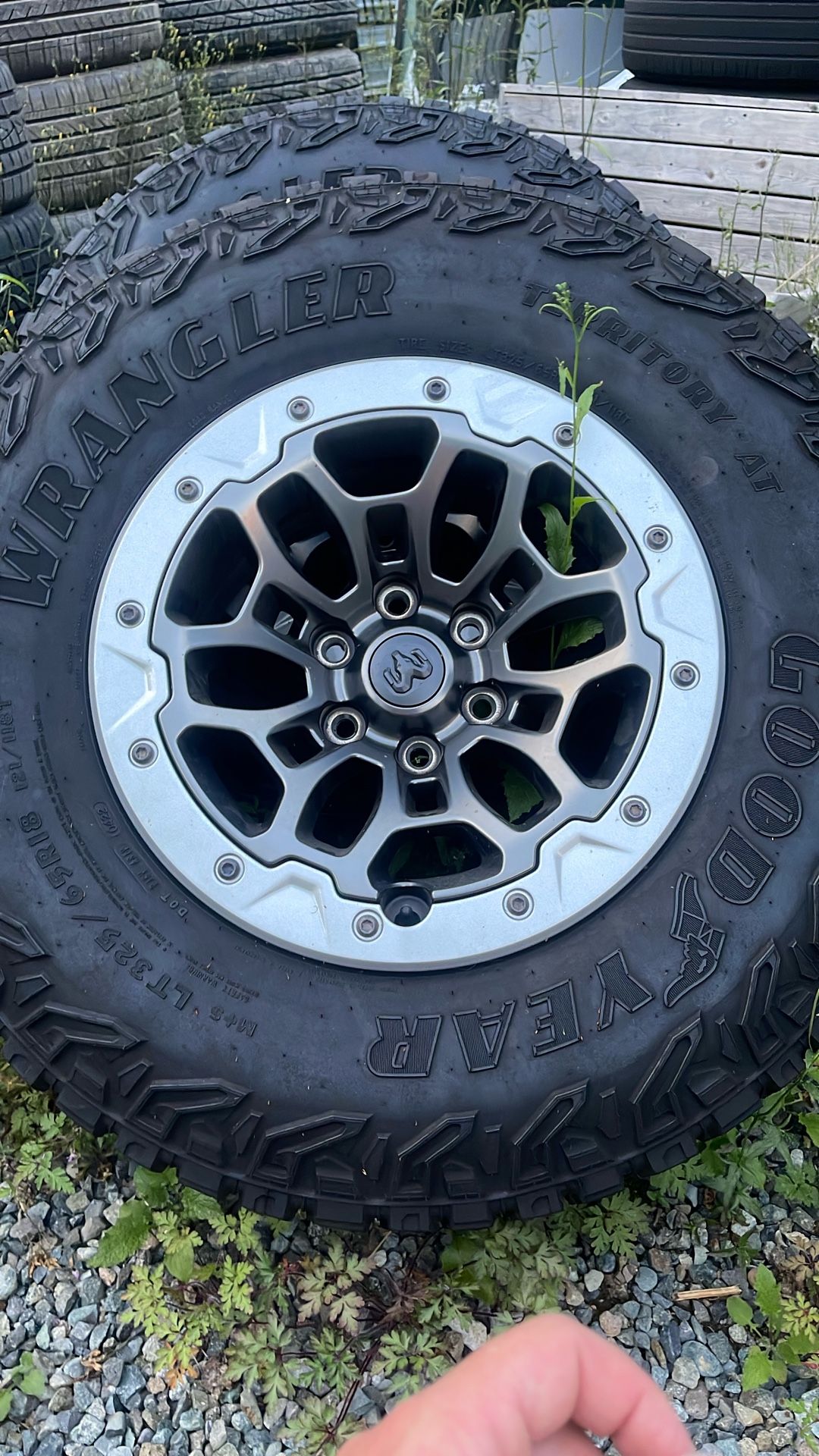Trx Wheel