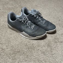Size 11 Kobe Platinum Shoes