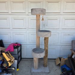6ft cat Tree!