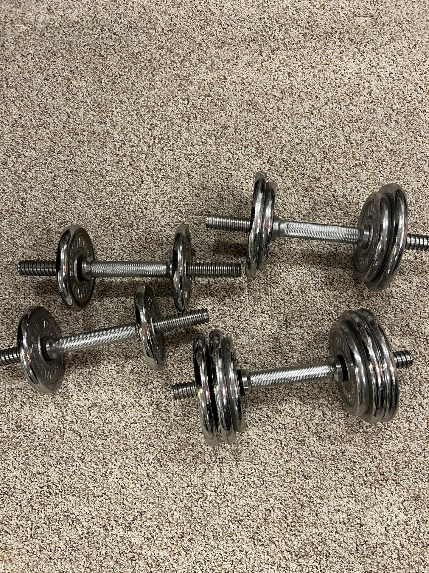 WEIGHTS DUMBBELLS 54 lbs Like New