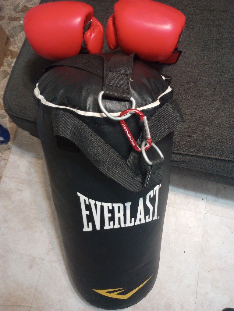 Everlast Black Punching Bag & 14oz Red Gloves