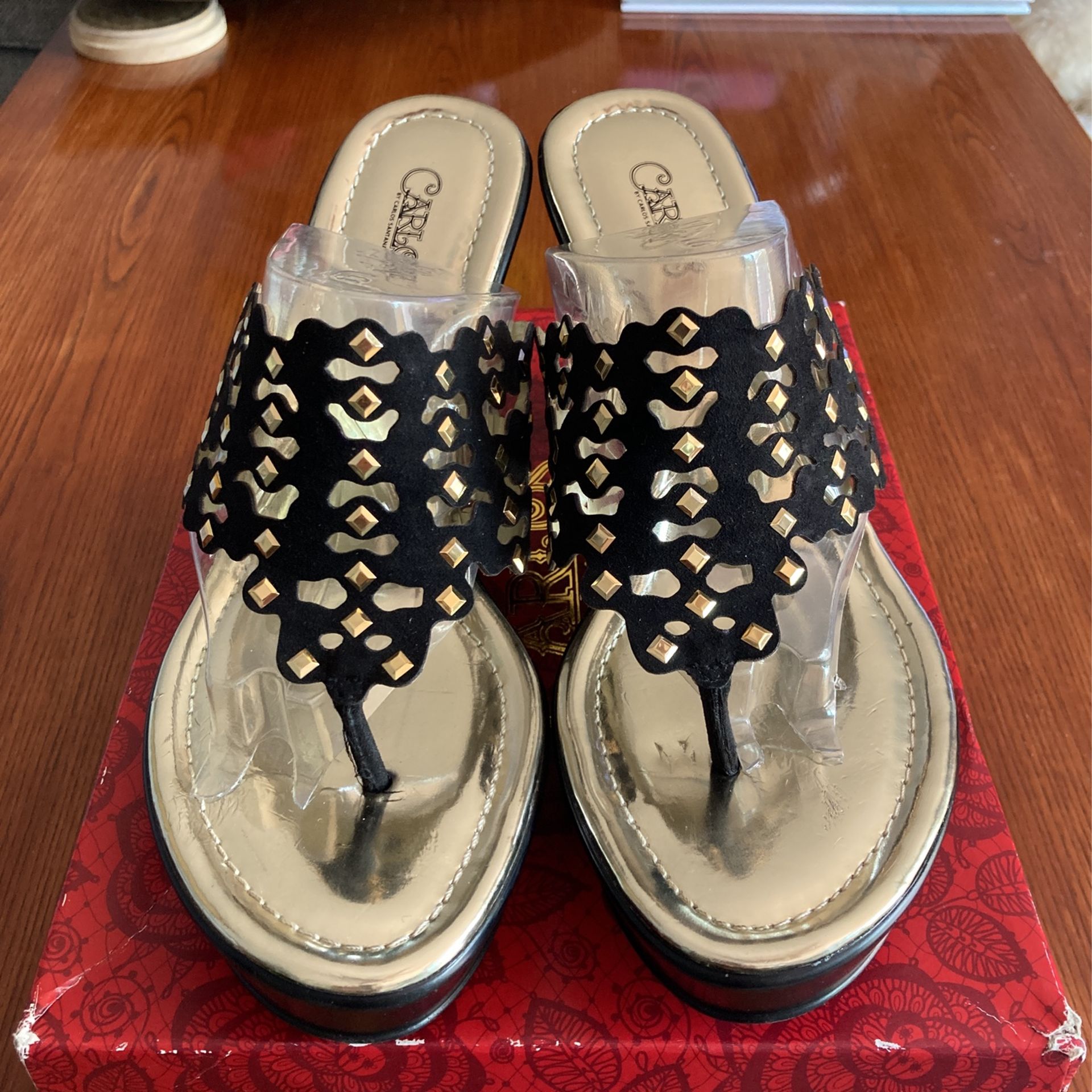 Karina Thong Wedge Sandals