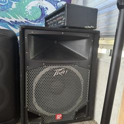 Peavey Speaker