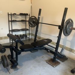 Bench Press