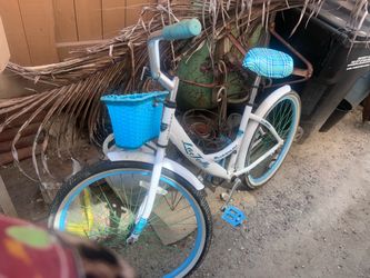 Beach cruiser
