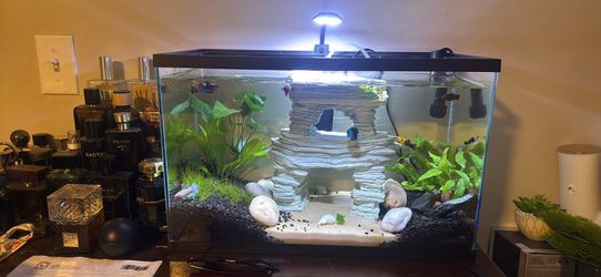 FULL SETUP - 10 Gal