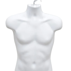 White plastic male upper torso half form mannequin