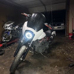 2006 Harley Davidson Dyna