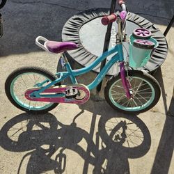 Girls Schwinn Bike