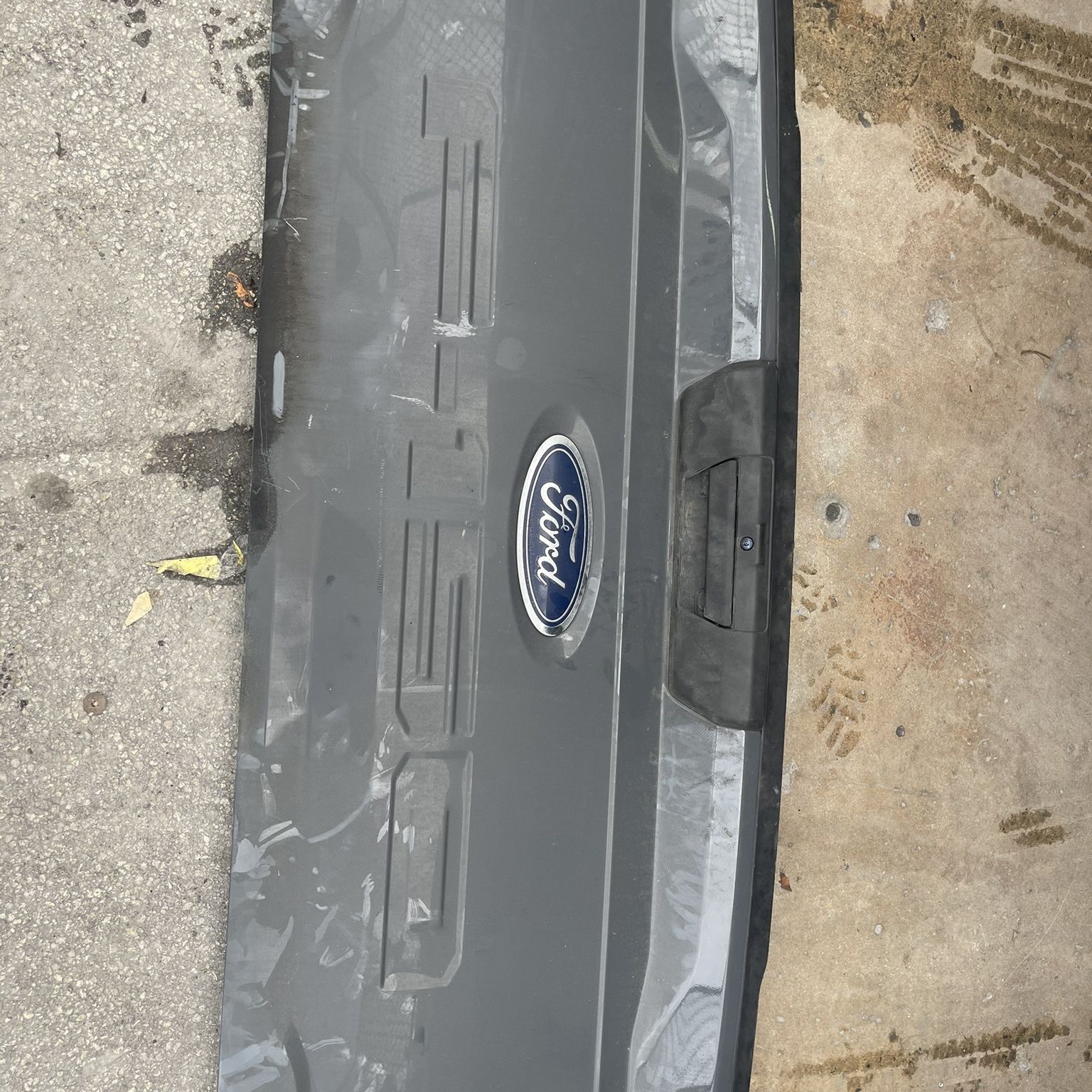 2021 2022 2023 FORD F150 REAR OEM TAILGATE OEM GENUINE TAIL GATE GENUINE 