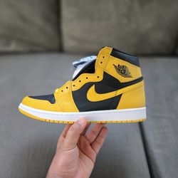 Jordan 1 Pollen