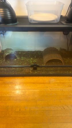 40 Gallon reptile enclosure
