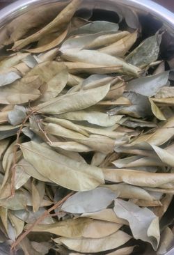 Soursop Leaves 