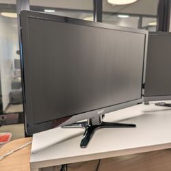 Dual 22" Computer Monitors