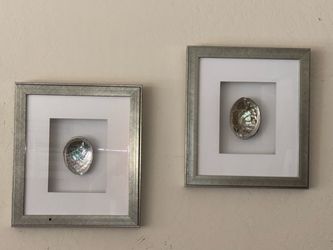 Framed Abalone Shell Shadow Box Set of 2