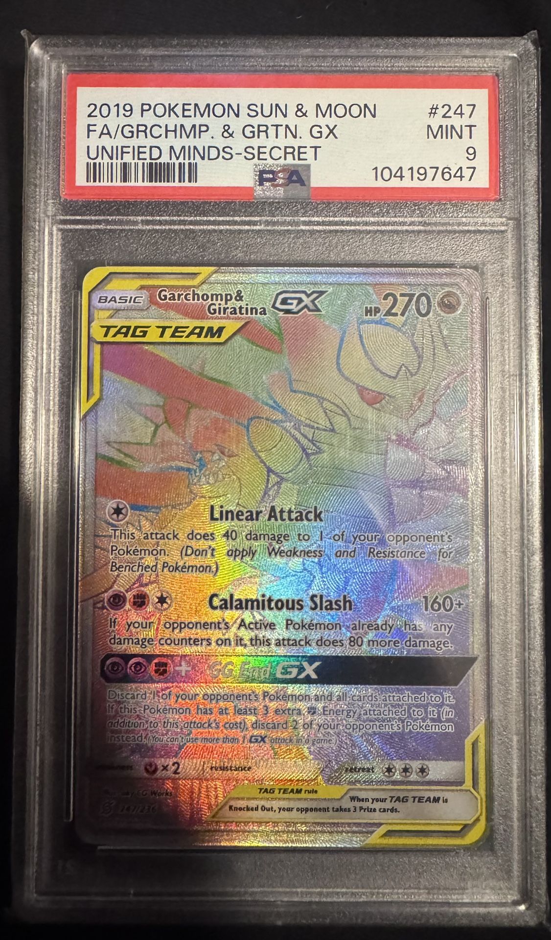 Garchomp & Giratina 247