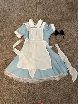 Alice wonderland costume