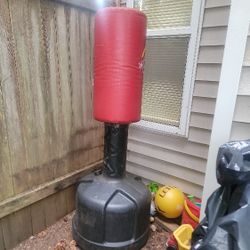 Punching Or Kicking Bag 