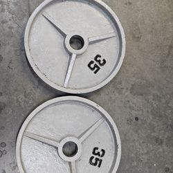 Olympic Weights For Sale