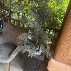 Potted Fake Pine Trees