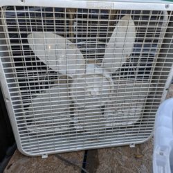Fan